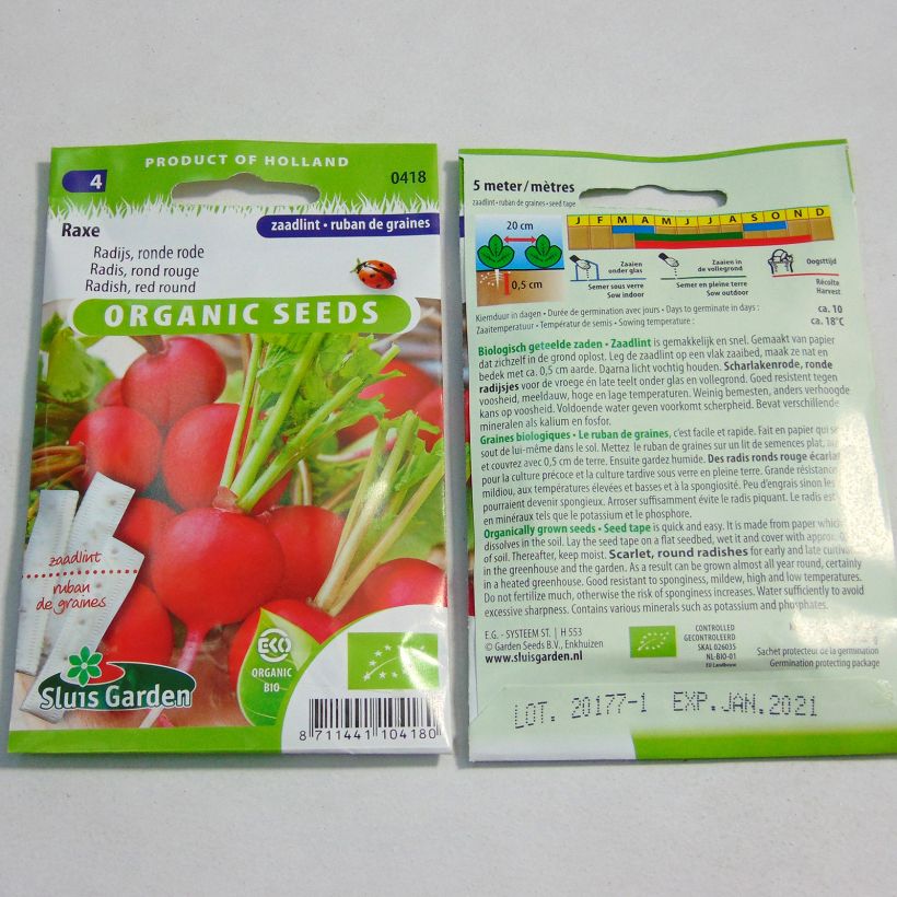 Exemple de spécimen de Ruban 5m Radis Rond Rouge Raxe Bio - Raphanus sativus Livré en ruban de 5 mètres tel que livré