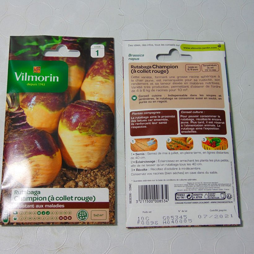 Example of Rutabaga Champion (jaune à collet rouge) - Vilmorin le sachet de 3500 graines environ (10g) as you get