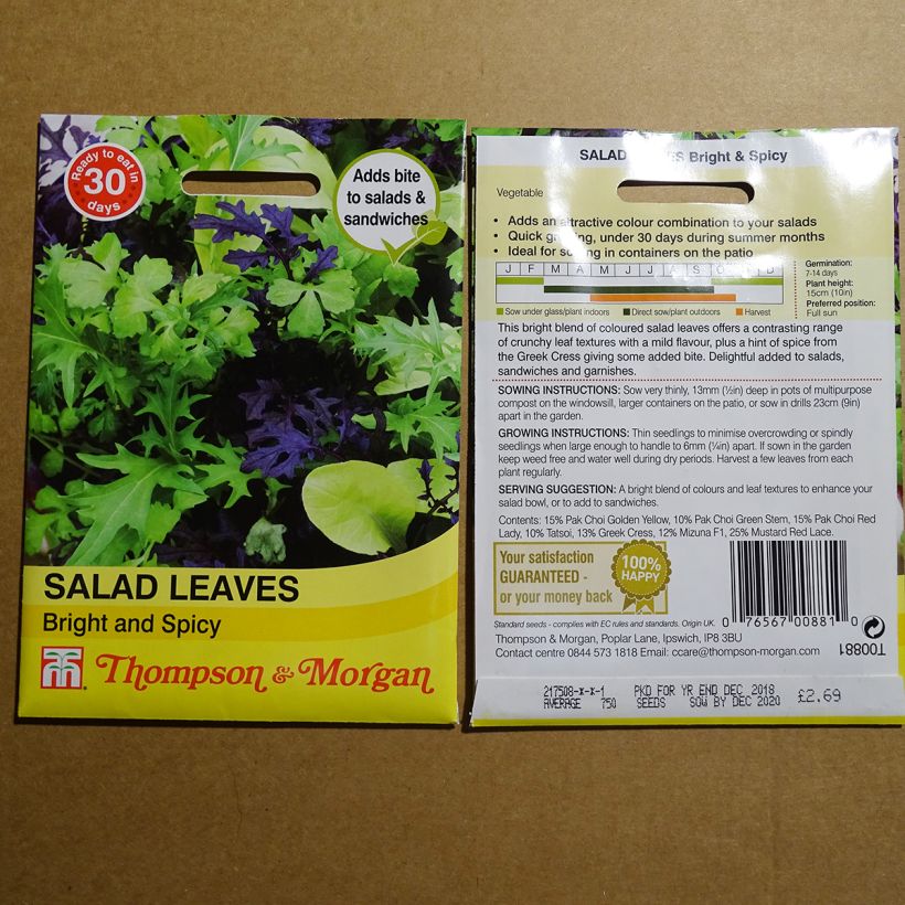 Exemple de spécimen de Salades à couper Bright and Spicy - Mesclun le sachet de 1000 graines environ tel que livré