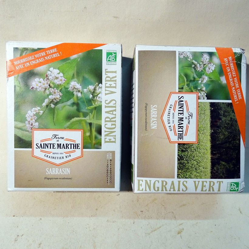 Exemple de spécimen de Sarrasin esculentum Bio - Engrais vert - Ferme de Sainte Marthe le sachet de graines de 400 grammes tel que livré