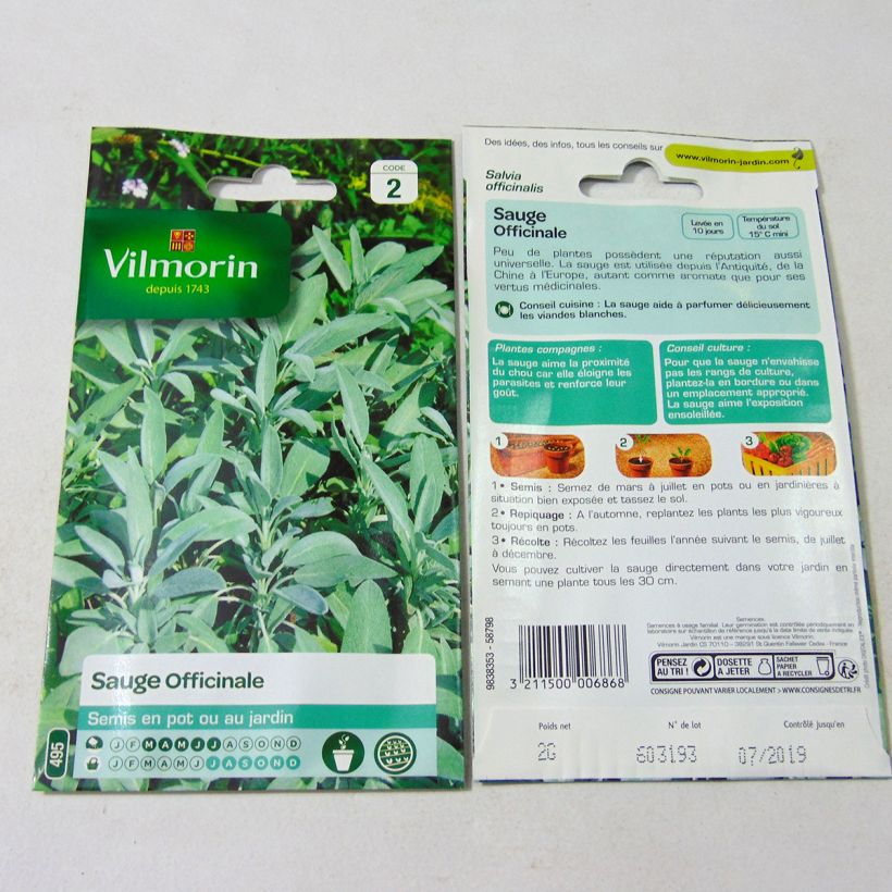 Exemple de spécimen de Sauge officinale - Vilmorin le sachet de 500 graines environ (2g) tel que livré