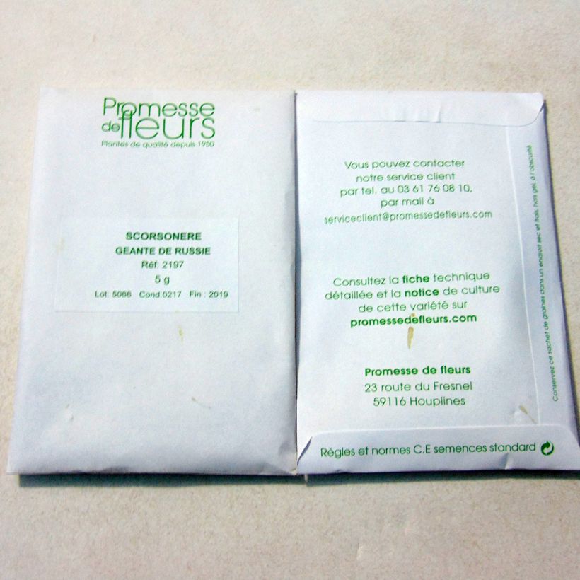 Exemple de spécimen de Scorsonère Géante Noire de Russie - Scorzonera hispanica  le sachet de 300 graines environ (minimum 5g) tel que livré