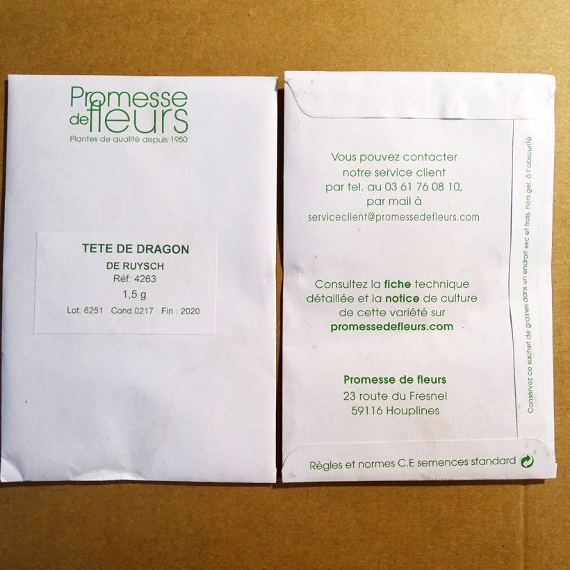 Exemple de spécimen de Tête-de-dragon - Dracocephalum moldavicum le sachet de 700 graines environ (minimum 1,5g) tel que livré