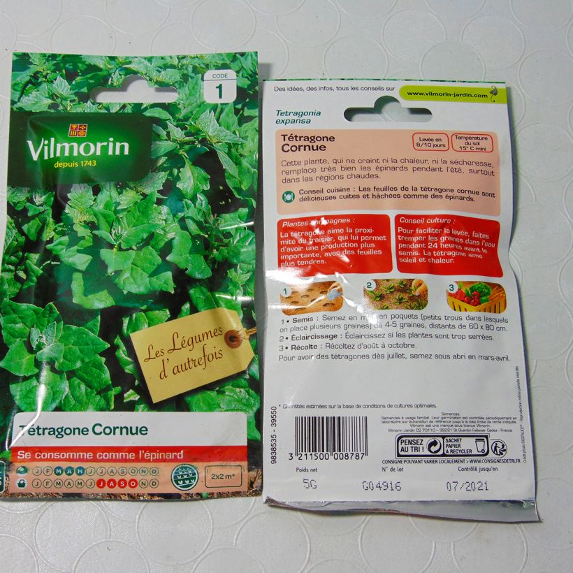 Exemple de spécimen de Tétragone cornue - Vilmorin le sachet de 75 graines environ (5g) tel que livré
