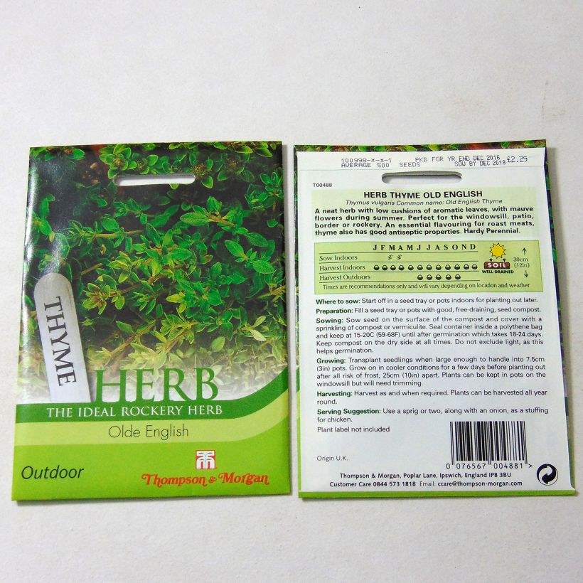 Exemple de spécimen de Thym Old English le sachet de 500 graines environ tel que livré