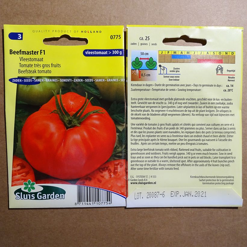 Exemple de spécimen de Tomate Beefmaster F1 - Très gros fruits  le sachet de 25 graines environ tel que livré