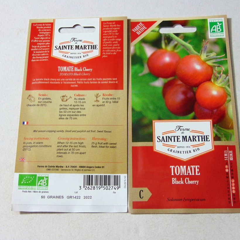 Exemple de spécimen de Tomate Black Cherry Bio le sachet de 50 graines environ tel que livré