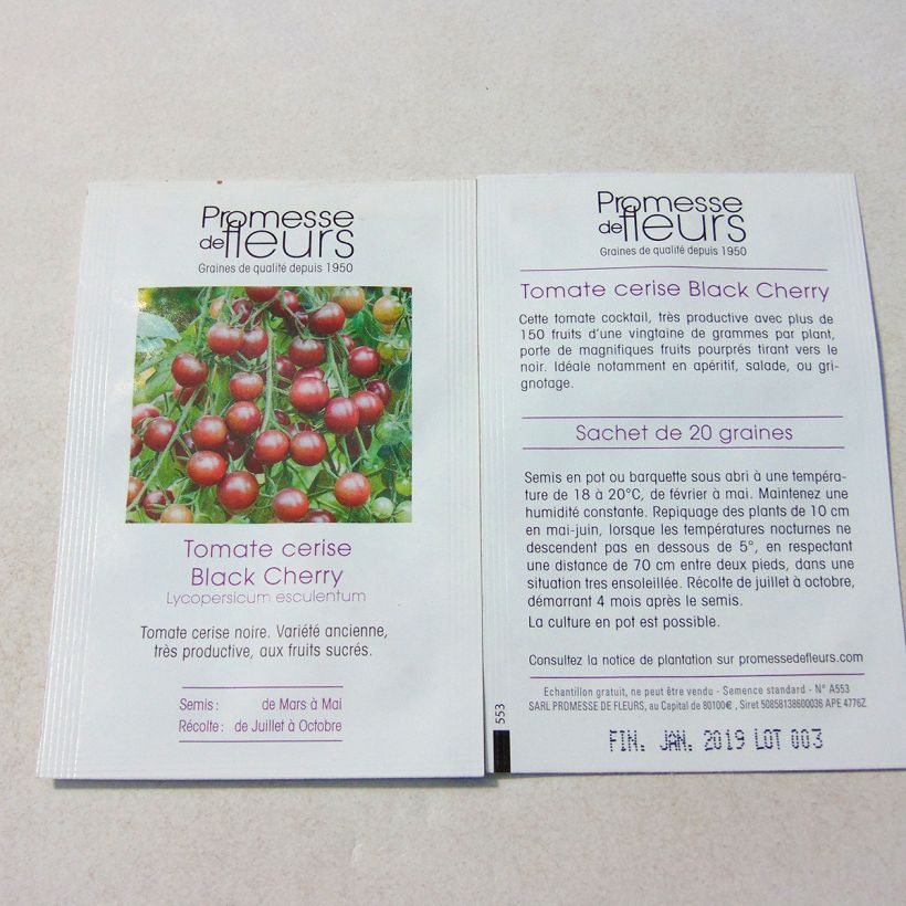 Exemple de spécimen de Tomate Black Cherry -  Tomate Cerise noire le sachet de +/- 50 graines environ (minimum 0,1g) tel que livré