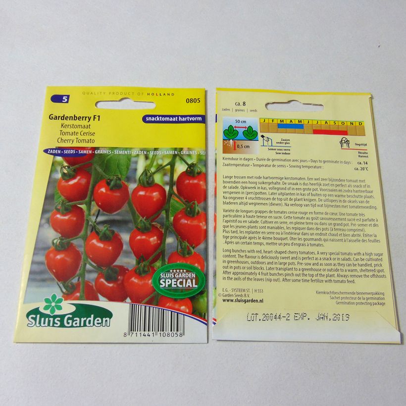 Exemple de spécimen de Tomate Gardenberry F1 - Tomate-cerise le sachet de 7 graines environ tel que livré