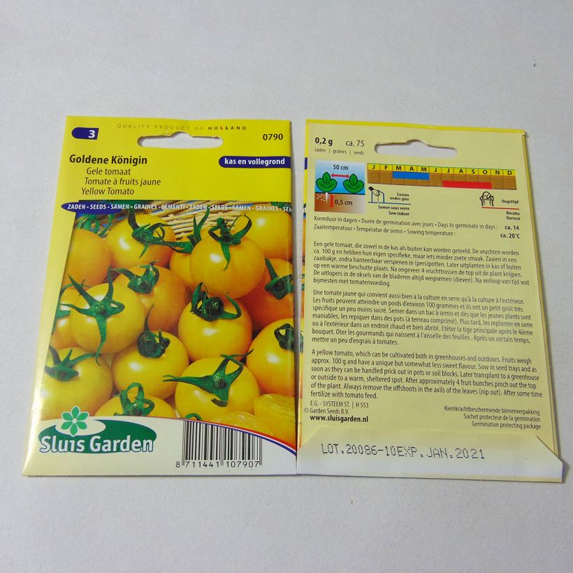 Exemple de spécimen de Tomate Goldene Königin - Tomate Reine d'or le sachet de 75 graines environ tel que livré