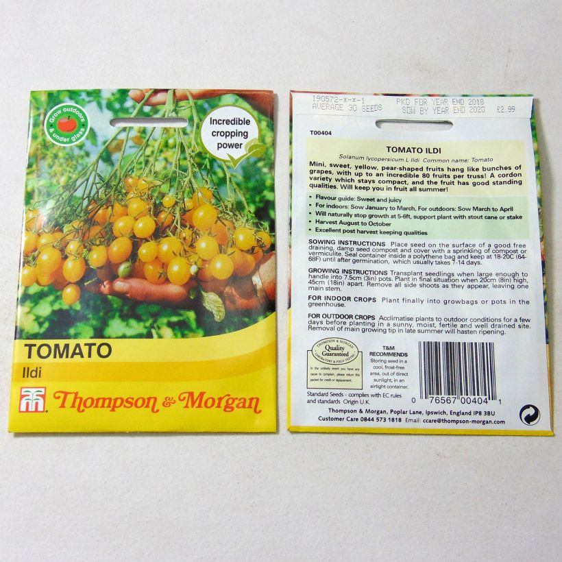 Exemple de spécimen de Tomate Ildi - Tomate-cerise le sachet de 40 graines environ tel que livré
