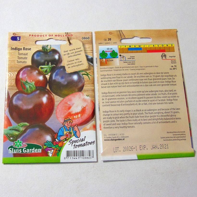 Exemple de spécimen de Tomate Indigo Rose  le sachet de 15 graines environ tel que livré