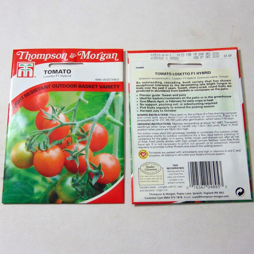 Exemple de spécimen de Tomate Losetto F1  - Tomate-cerise le sachet de 6 graines environ tel que livré