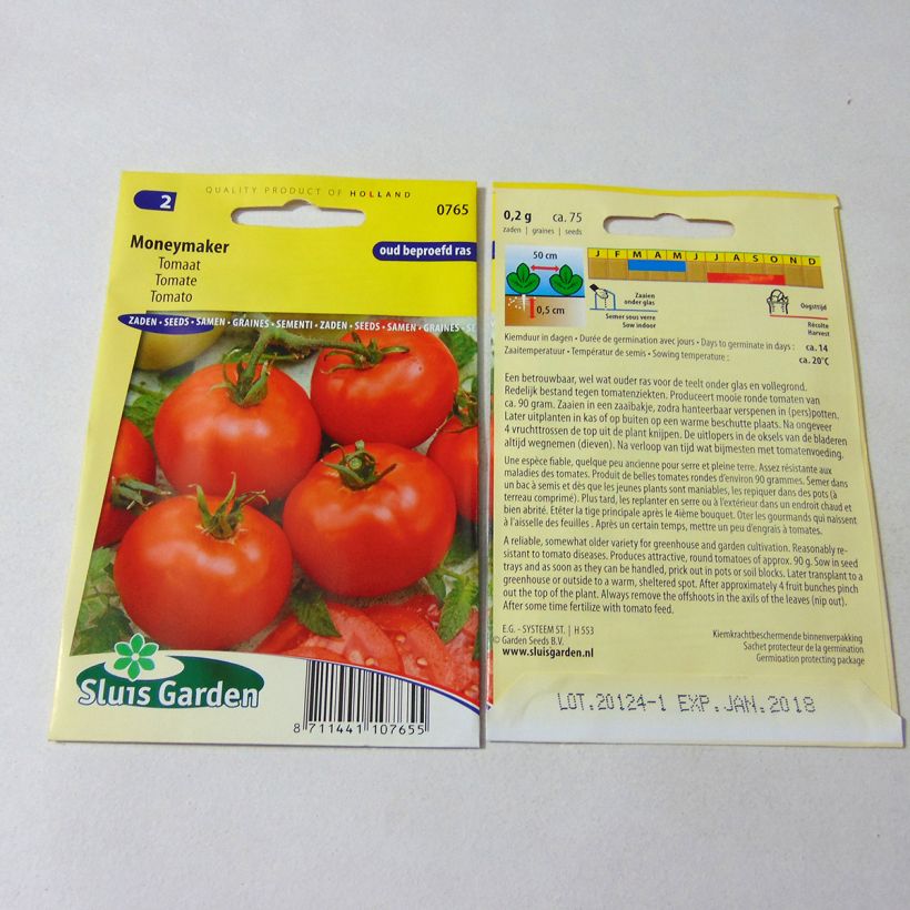 Exemple de spécimen de Tomate Moneymaker - Solanum lycopersicum  le sachet de 300 graines environ (1g) tel que livré