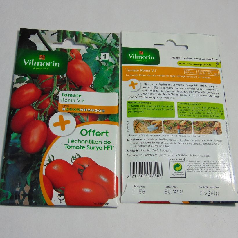 Exemple de spécimen de Tomate Roma V.F  + échantillon Tomate Surya - Vilmorin le sachet de 450 graines environ (1.5g) tel que livré