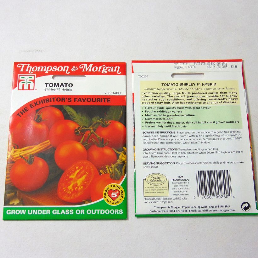 Exemple de spécimen de Tomate Shirley F1 - Tomate Grappe le sachet de 10 graines environ tel que livré