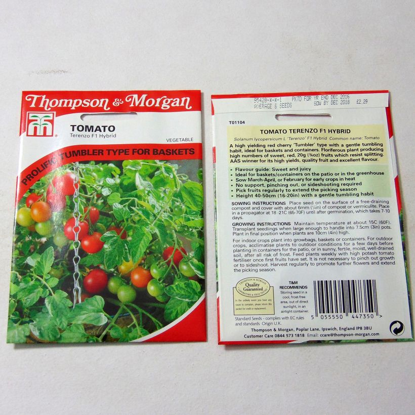 Exemple de spécimen de Tomate Terenzo F1 - Tomate cerise  le sachet de 6 graines environ tel que livré