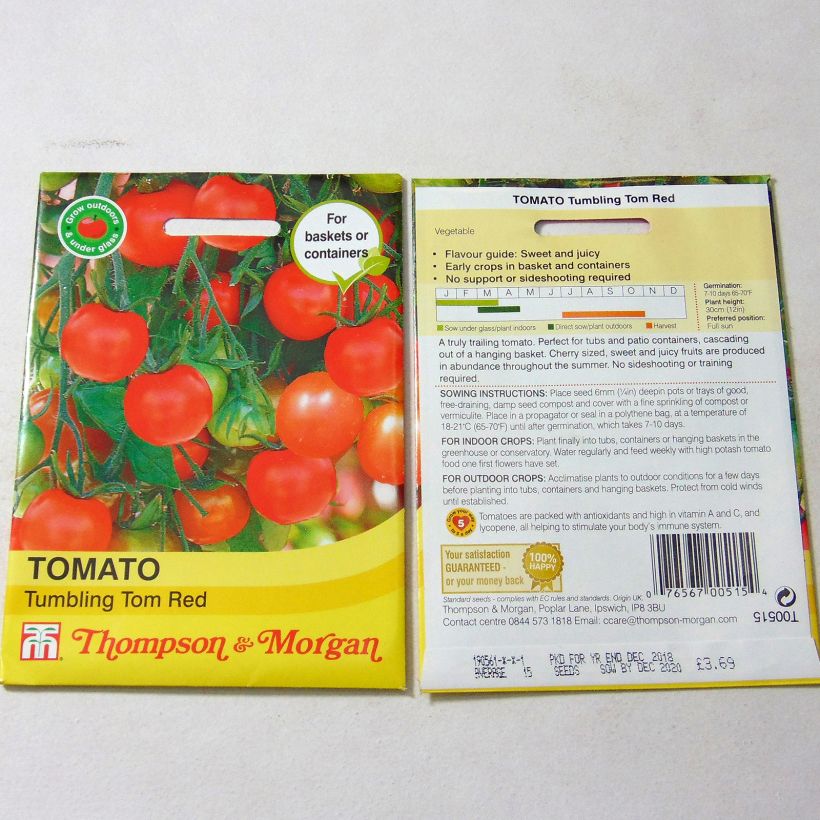 Exemple de spécimen de Tomate Tumbling Tom Red - Tomate-cerise le sachet de 15 graines environ tel que livré