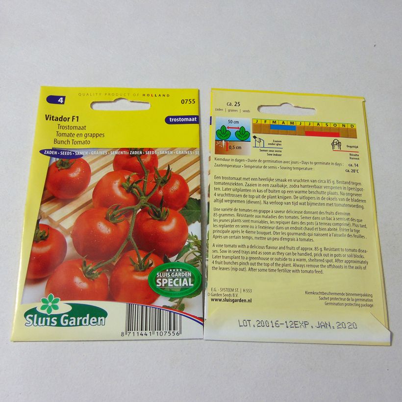 Exemple de spécimen de Tomate Vitador F1 - Tomate grappe le sachet de 25 graines environ tel que livré