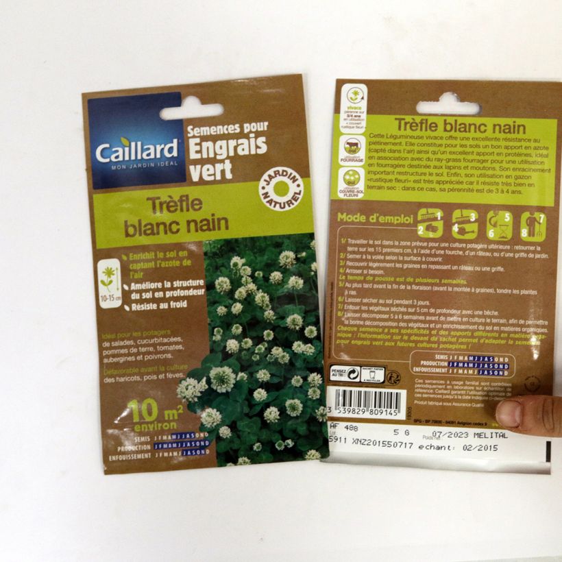 Exemple de spécimen de Trèfle blanc nain - Engrais vert Boîte 10 m² (5 grammes) tel que livré