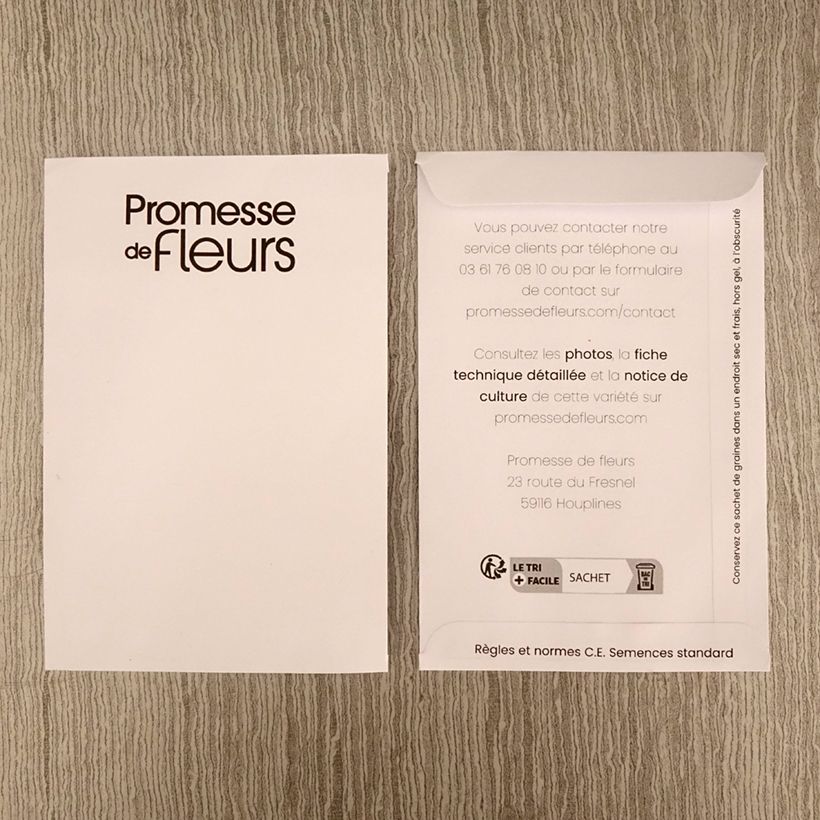 Exemple de spécimen de Graines de Tabac d'ornement Bronze Queen - Nicotiana langsdorffii  le sachet de 25 graines environ tel que livré