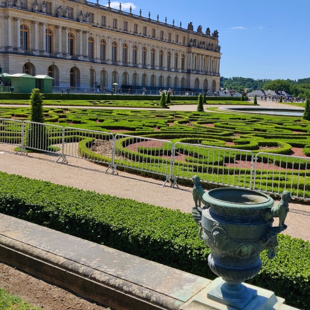 Buis - Buxus Betterbuxus Heritage