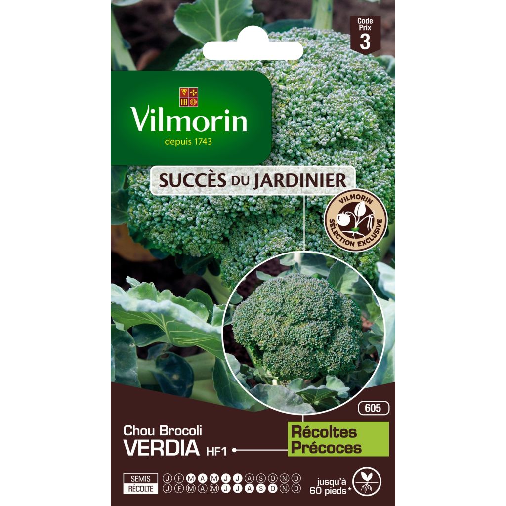 Chou Brocoli Verdia F1 (création Vilmorin) - Vilmorin