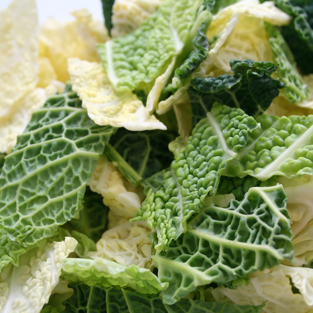 Chou de Milan d'Aubervilliers