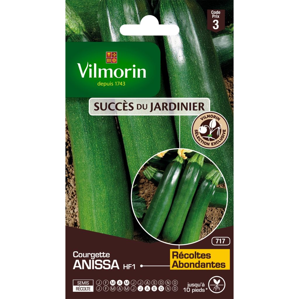 Courgette Anissa F1 (Création Vilmorin) - Vilmorin