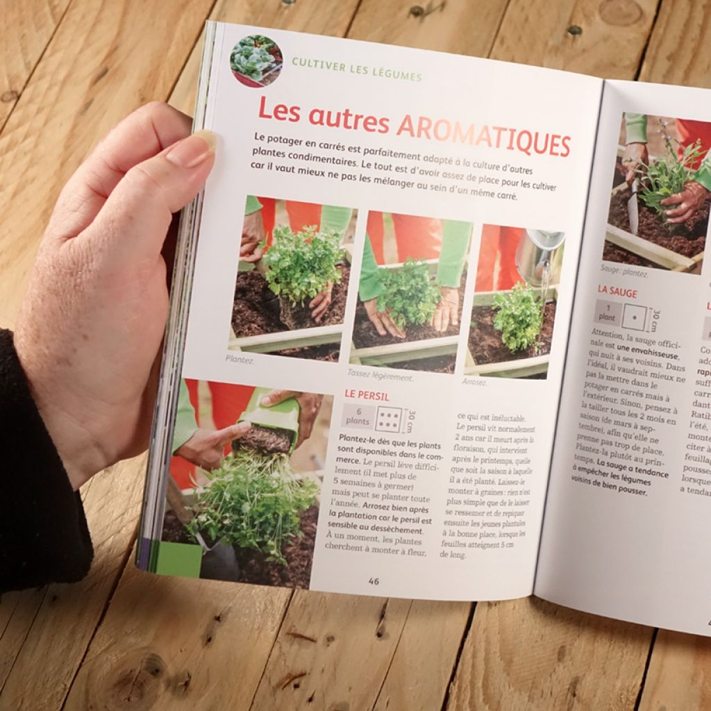 Créer un potager en carrés - Pour cultiver facilement des légumes toute l'année