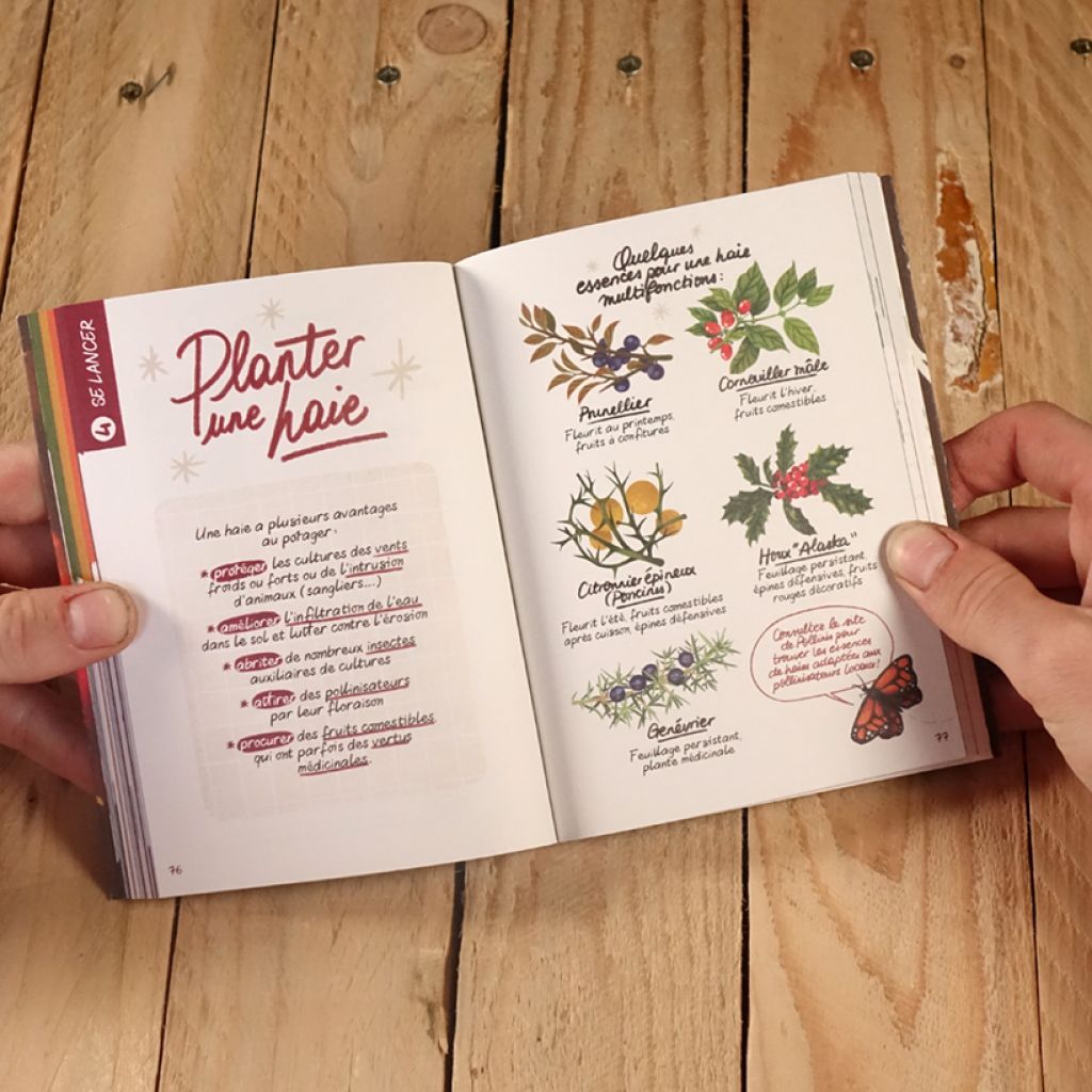 Démarrer son potager