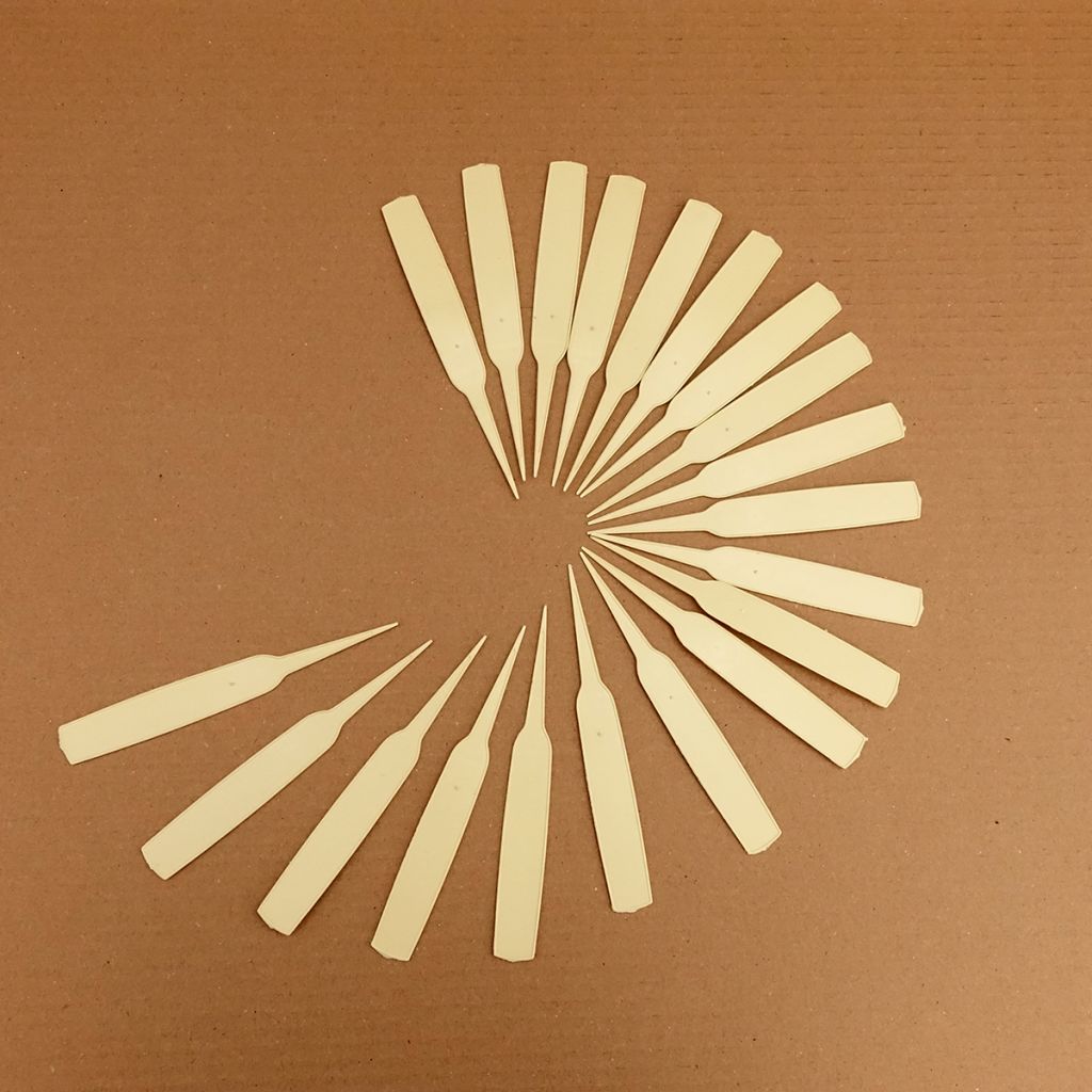 Etiquette étroite à planter ivoire