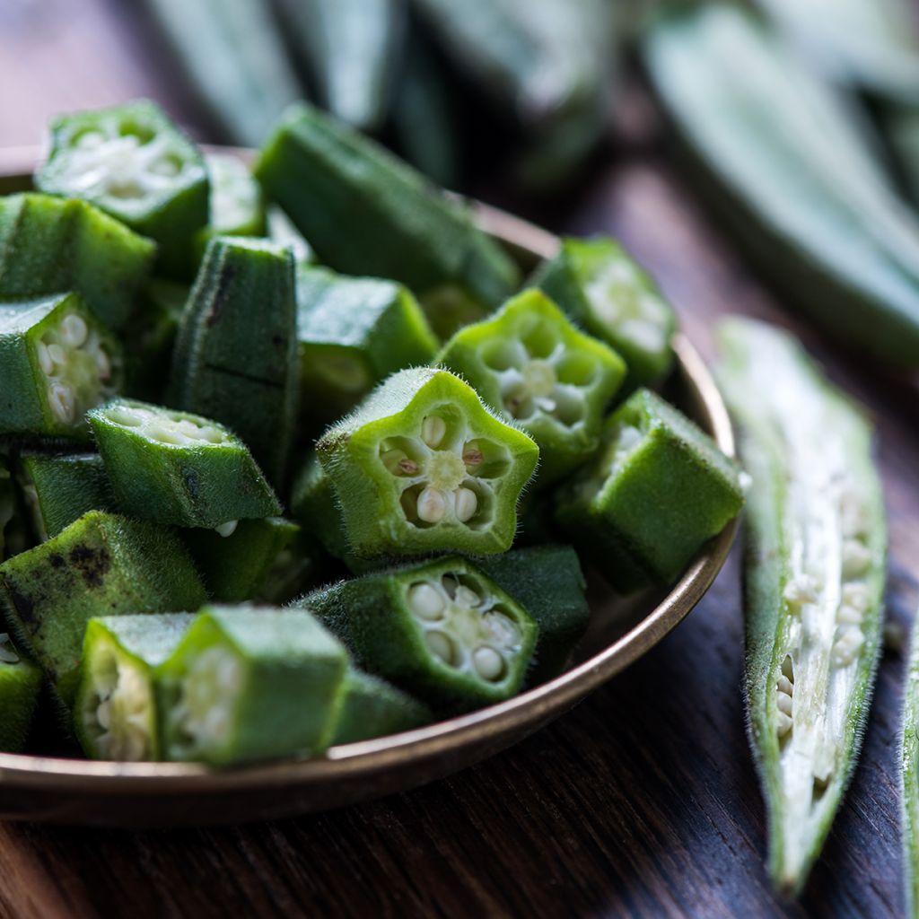 Gombo Okra - Abelmoschus esculentus