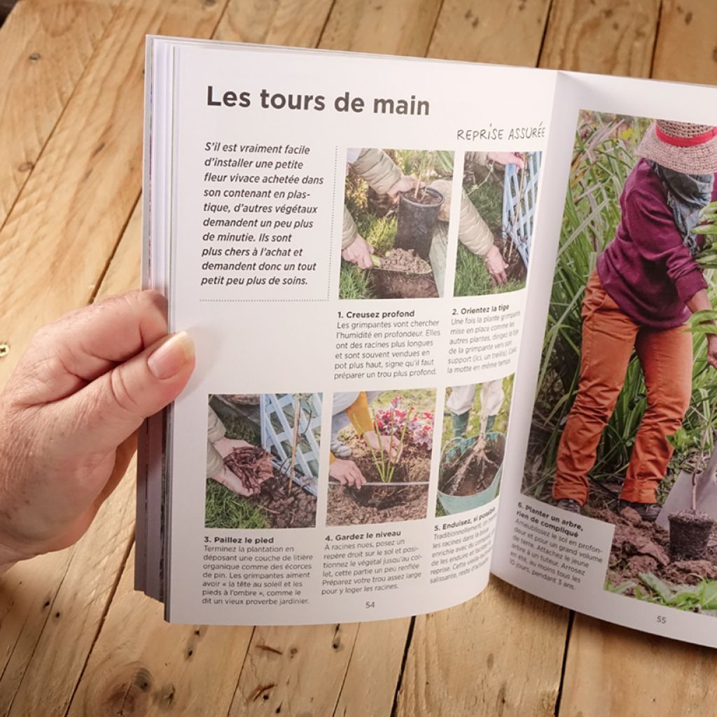 Guide du jardin ultra-simple