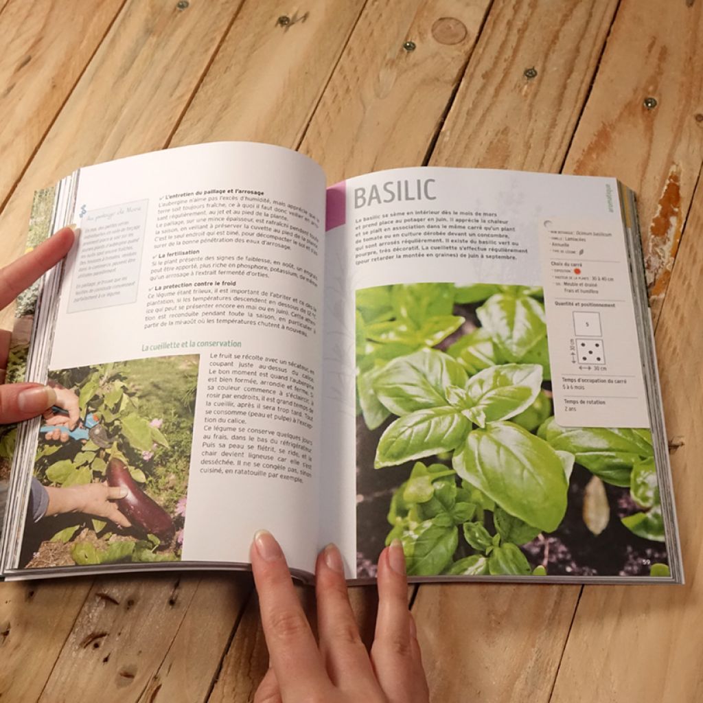 Guide pratique du potager en carrés - Tout pour planifier et cultiver