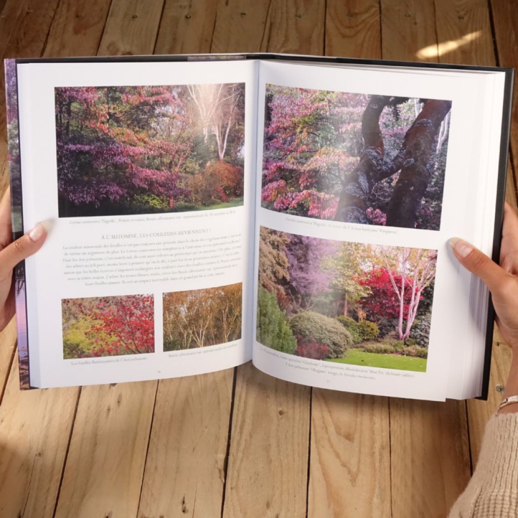 Jardin de Pellinec - L'ivresse des couleurs