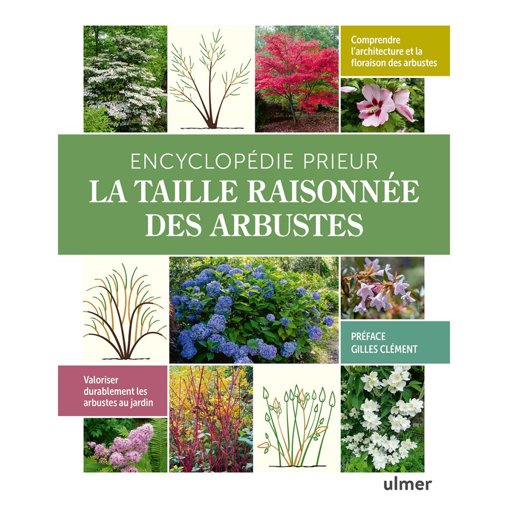 L'encyclopédie Prieur de la taille raisonnée des arbustes