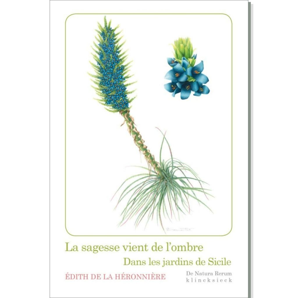 La Sagesse vient de l'ombre