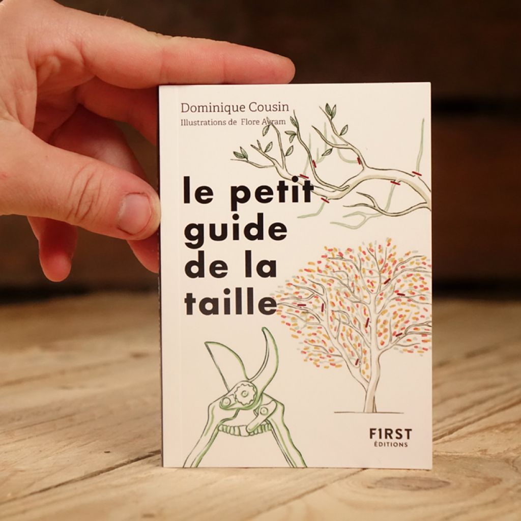 Le Petit Guide de la taille