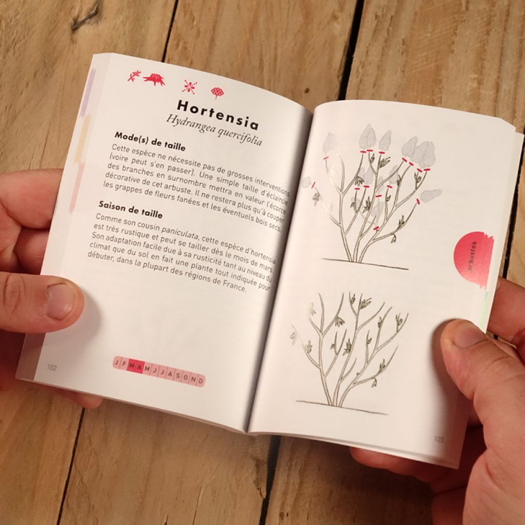 Le Petit Guide de la taille