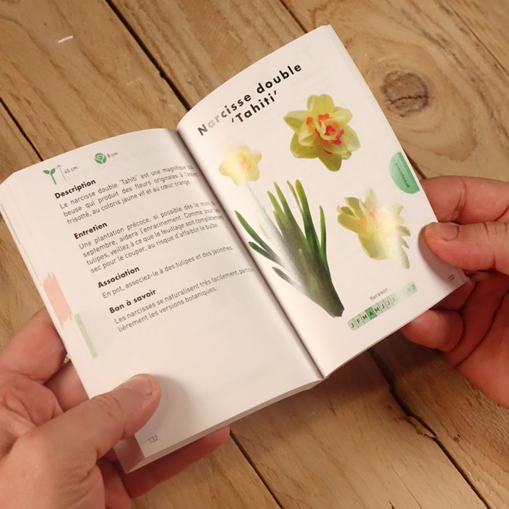 Le Petit guide jardin des bulbes