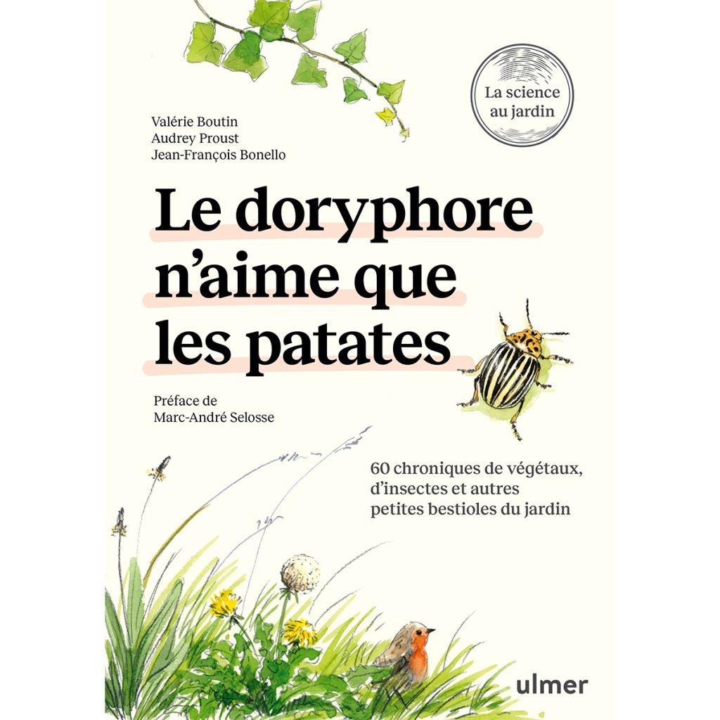 Le doryphore n’aime que les patates