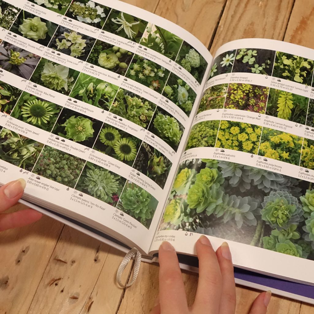 Le nuancier du jardinier