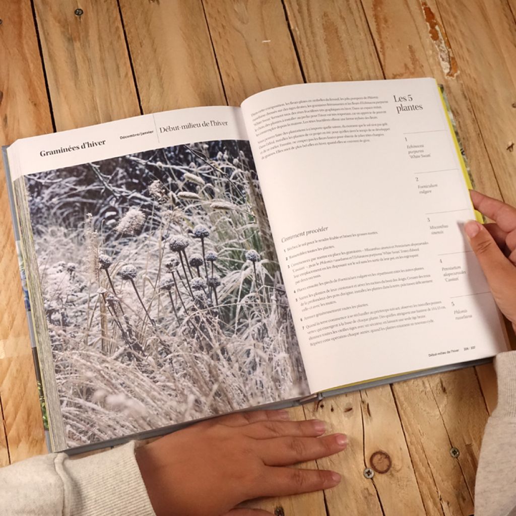Les belles harmonies du jardin