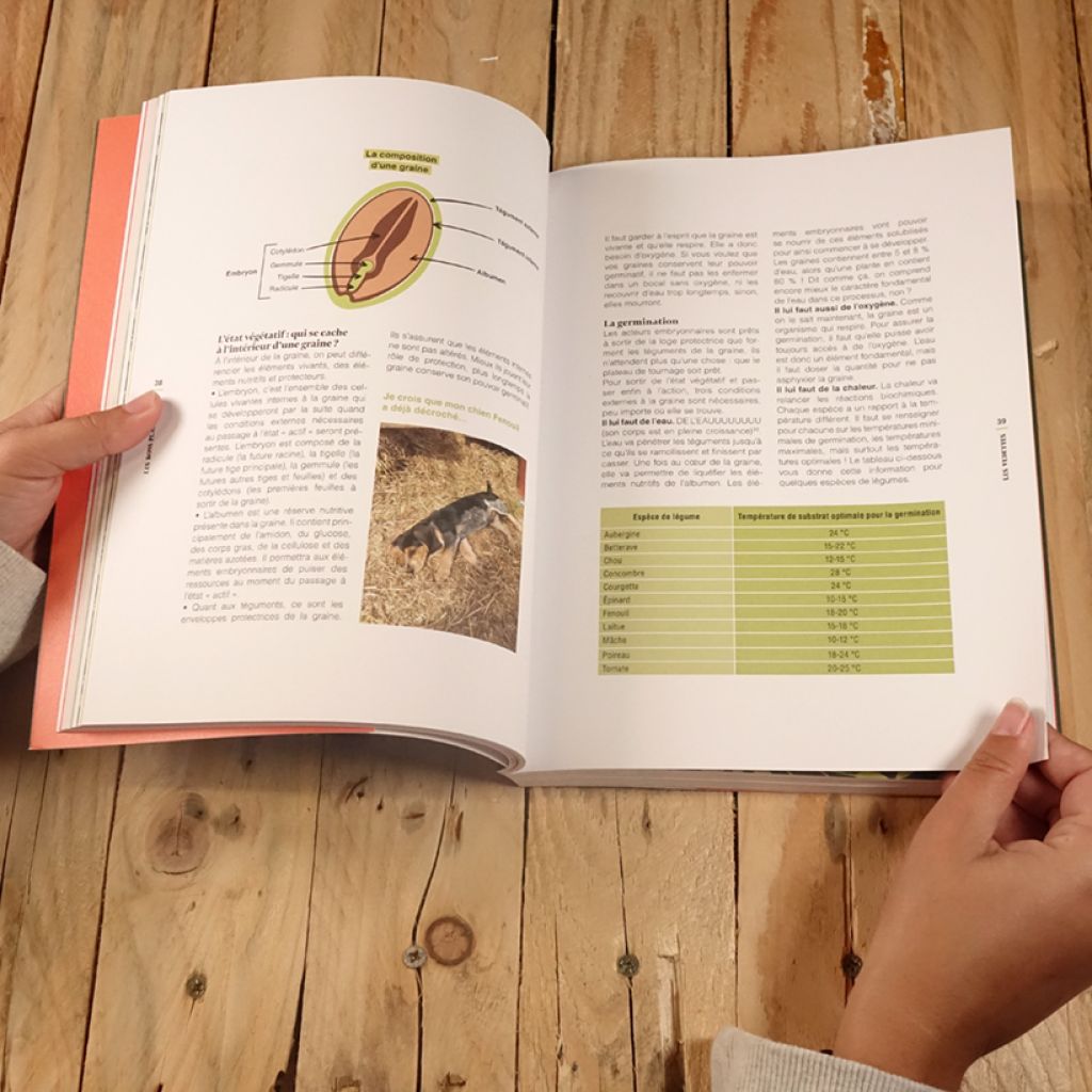 Les bons plants d'Elise