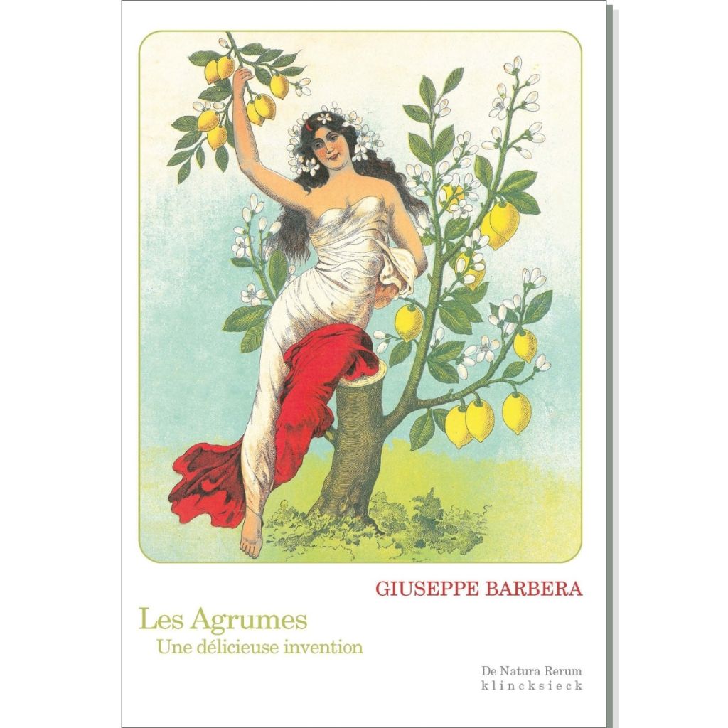 Les Agrumes