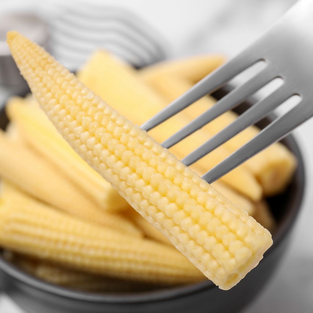 Mini maïs doux sucré Snobaby - Zea mays