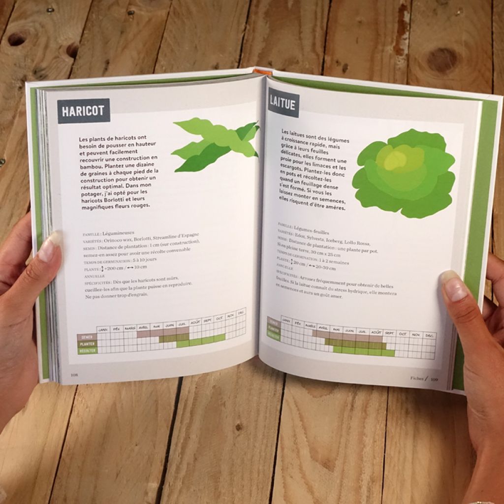 Mon petit potager bio sur 15m²