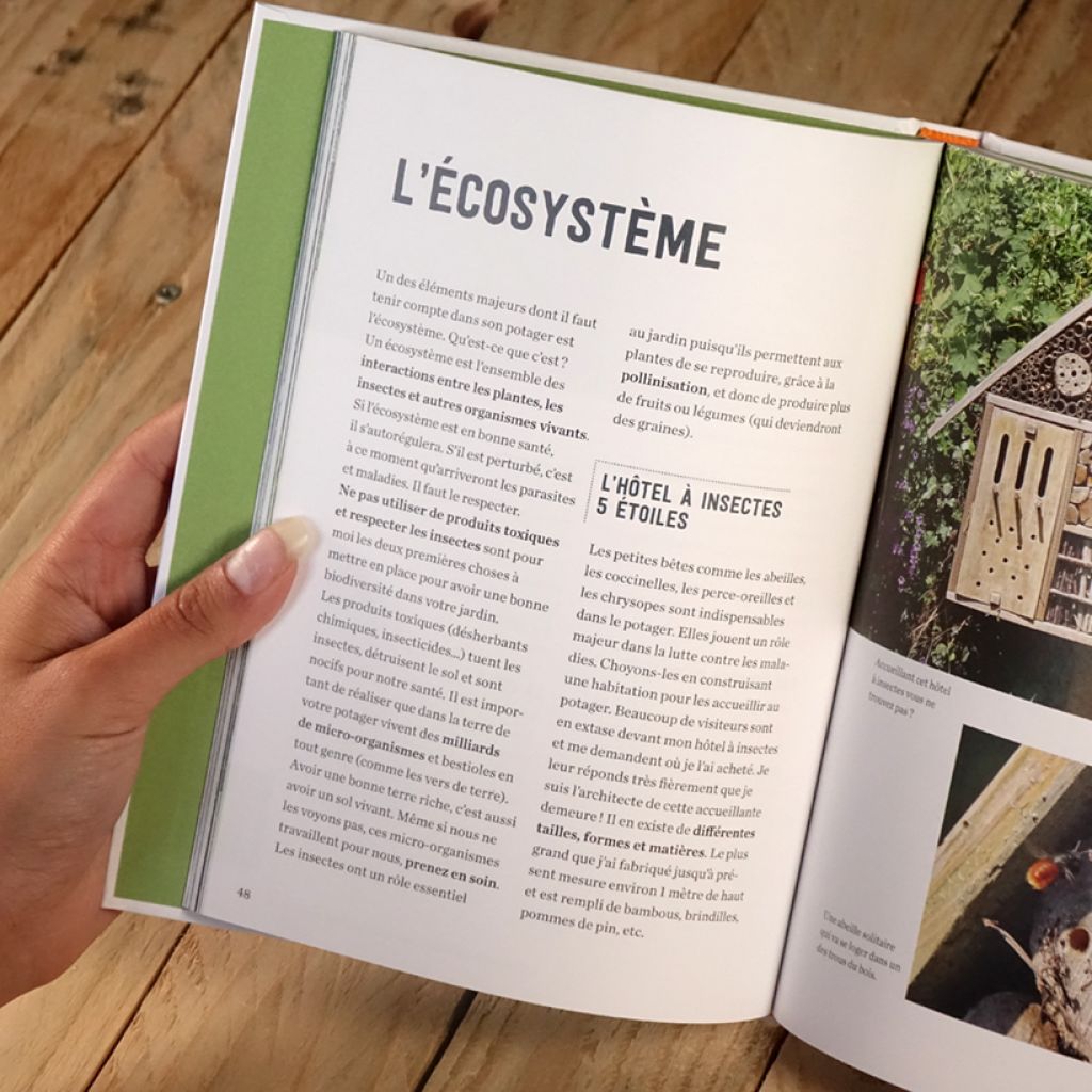 Mon petit potager bio sur 15m²