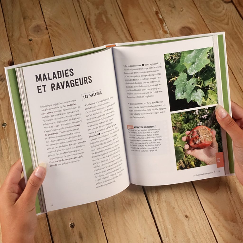 Mon petit potager bio sur 15m²